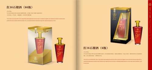 五粮液红酒品牌策划与营销推广方案 借势名酒基因，开拓品质红酒新蓝海